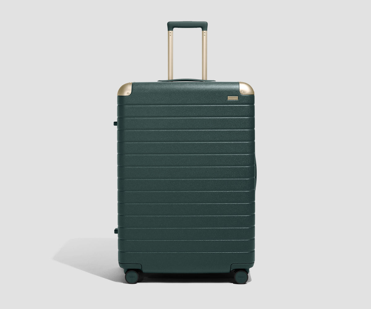 The Aluminum Edge Large in Ivy Green