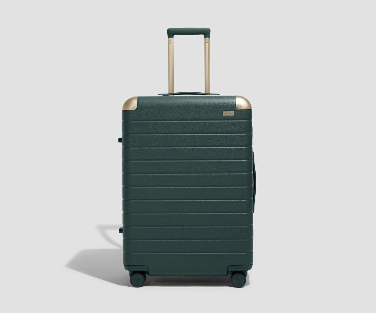The Aluminum Edge Medium in Ivy Green