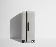 The Trunk in Cloud Gray