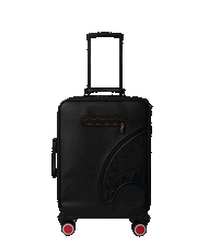 CHECKPOINT ROYALE CARRY-ON LUGGAGE